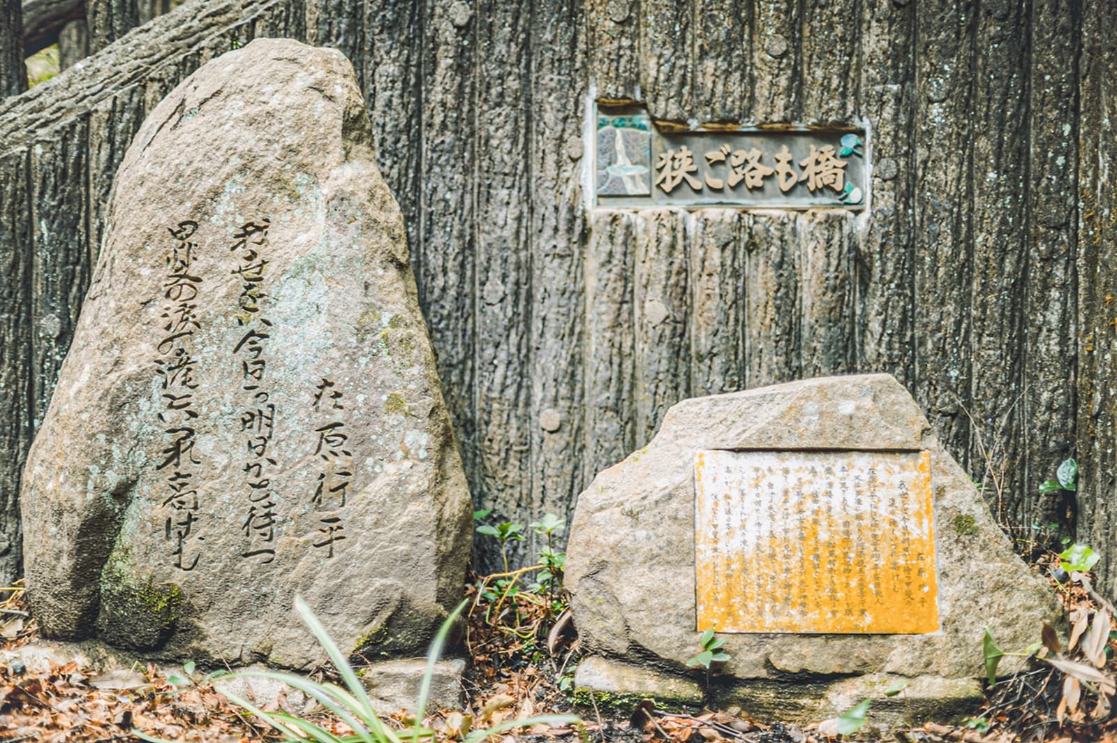 アクセス