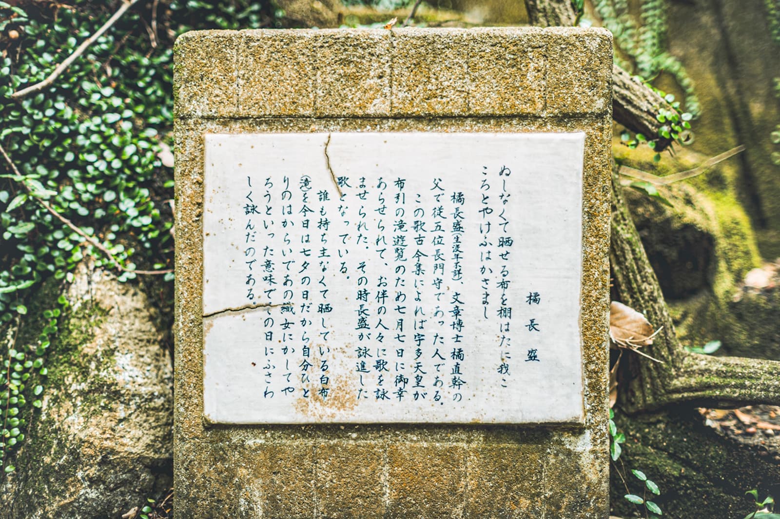 アクセス